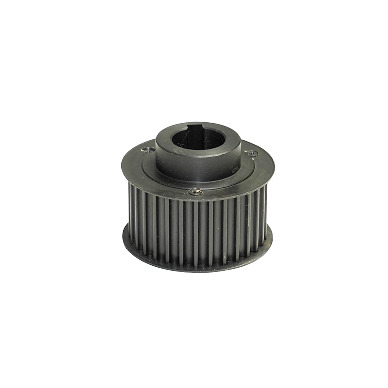 16-POLLE SMALL SYN···